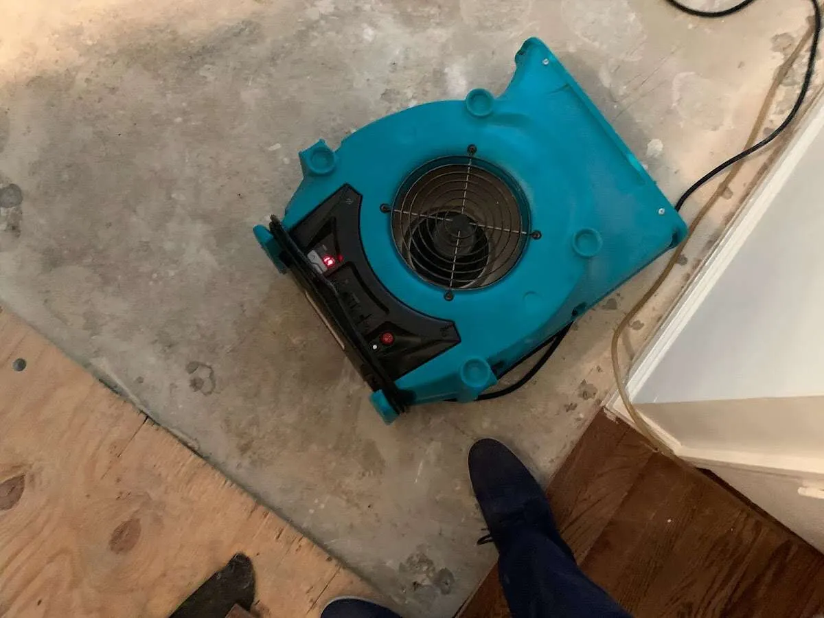 Air mover drying subfloor during Commercial Water Damage Restoration in Sussex